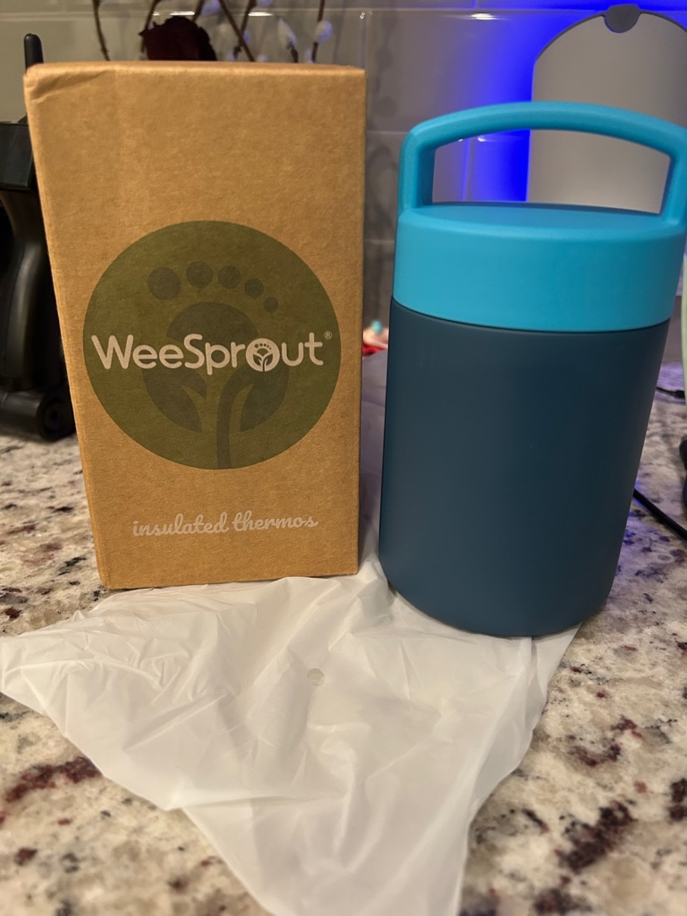 Blue Insulated Thermos Bottle with Aqua Handle